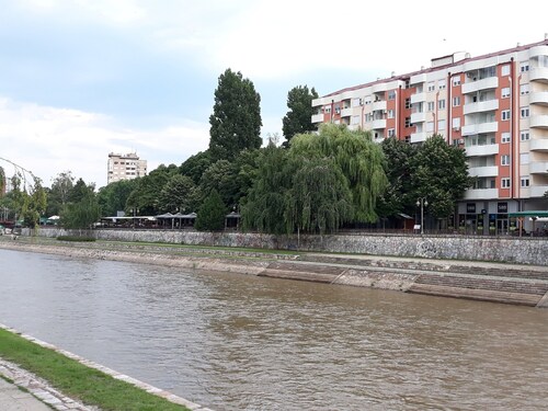 We are organizing cosmetic ,hair dressers and dental services .