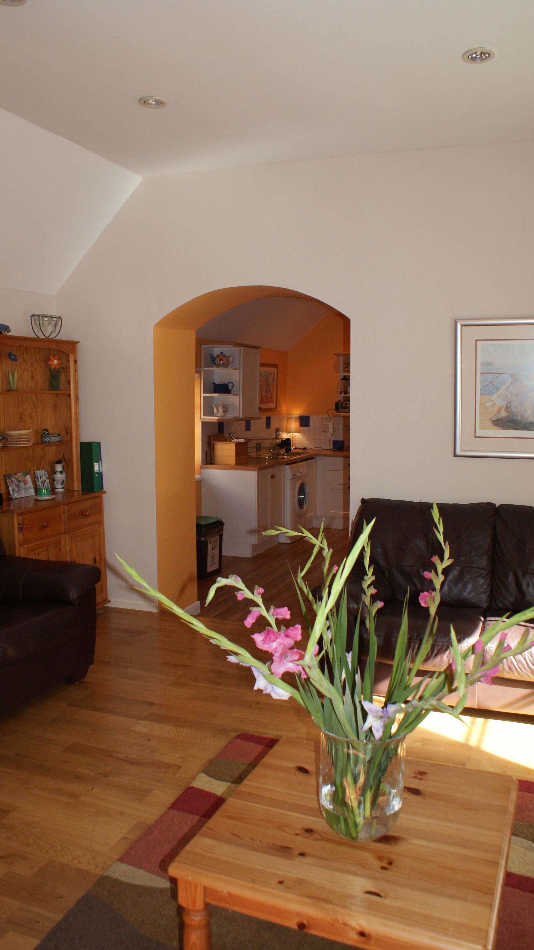 Smart TV, DVD player, books, stereo