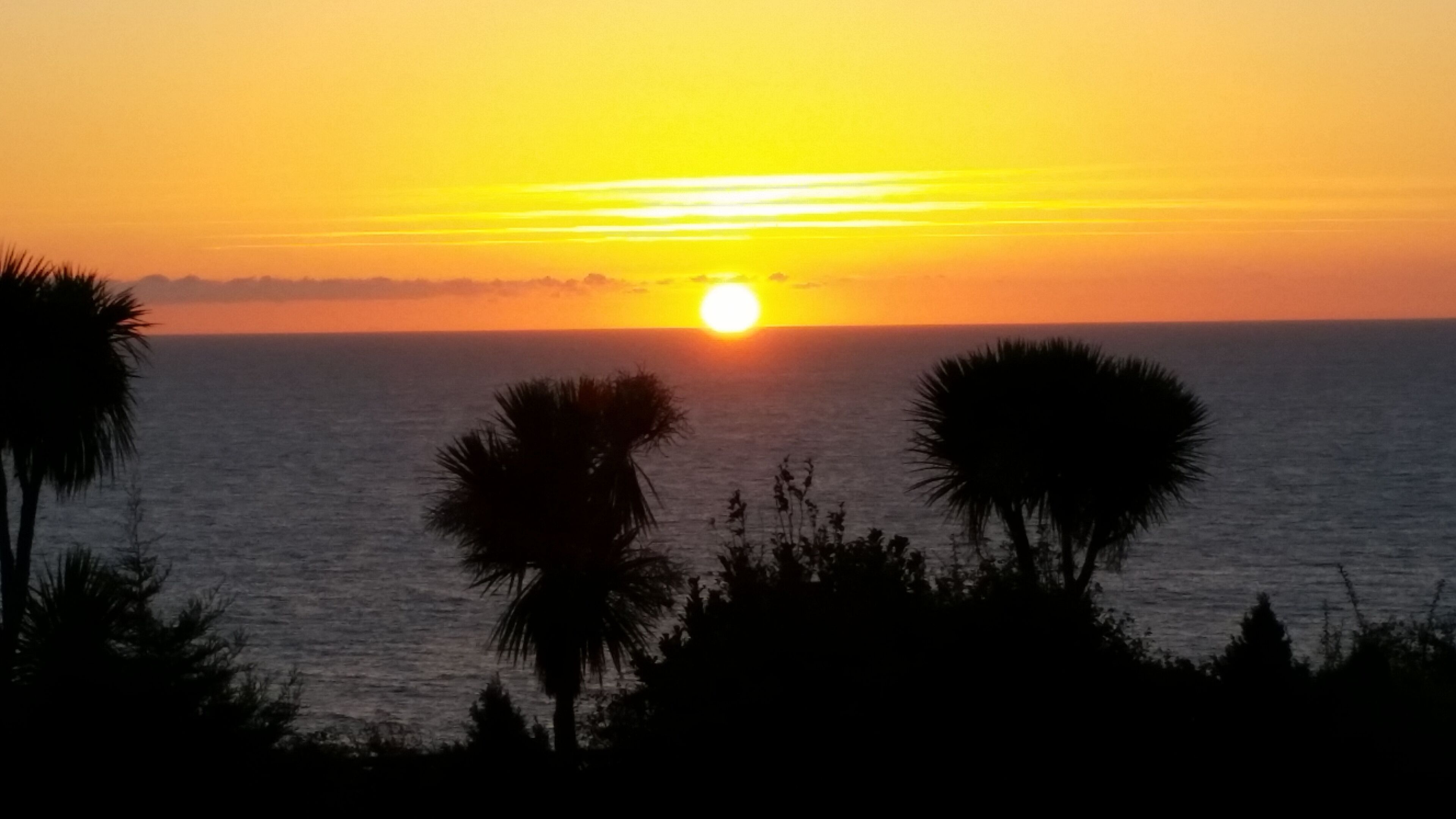 6 عدّة غرف نوم ومكتب ومكواة/لوح كي وواي فاي مجانًا