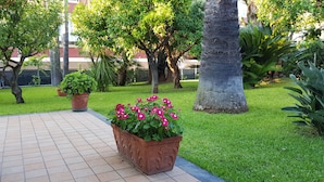 Un jardin aménagé avec un chemin pavé, des plantes en pot et un grand arbre.