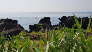 Un paysage côtier caractérisé par des formations rocheuses et une végétation verdoyante au premier plan.