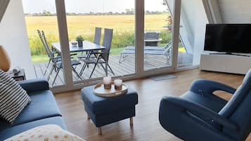 TV connectée, cheminée, livres, chaßne hi-fi