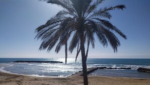 Une plage avec un palmier et des vagues de l’océan.