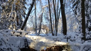 Uma paisagem nevada de floresta com uma cerca de arame na frente.