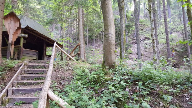 Uma cabana de madeira rústica com uma escada que leva a uma porta identificada como 