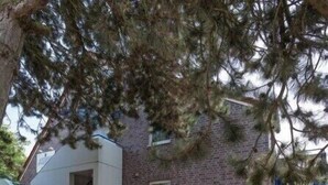 Un terrain de jeux avec un toboggan et des balançoires, un bâtiment en briques avec une porte bleue, et un arbre au premier plan.