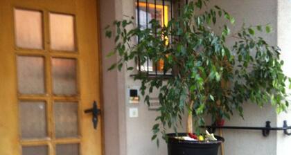 Apartment One with lake view