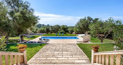 Bassa Seca by dracmallorca