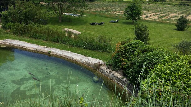 A lush garden with a clear pond, a grassy area with trees, and a distant view of mountains.