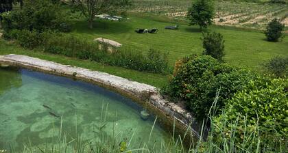 Charming Magnanerie with swimming pool and pétanque court in an idyllic setting