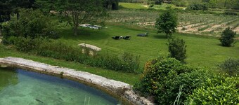 Magnanerie de charme avec piscine et terrain de pétanque dans un cadre idyllique