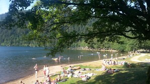 Un parque junto al lago con gente tomando el sol, nadando y paseando en botes.