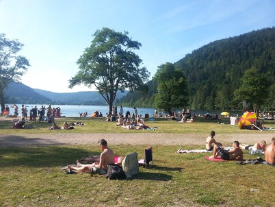 Chalet "les Skirons" sleeps 12 to 18, 3-star rating   