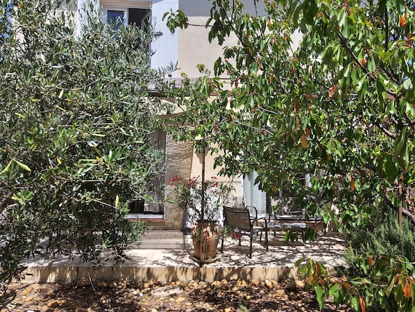 A courtyard with a seating area, a potted plant, and a building in the background.