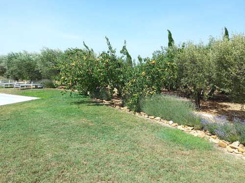 Marie's little farmhouse