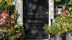 Une porte noire surmontée d’une petite fenêtre, entourée de plantes en pot et de lianes retombantes.