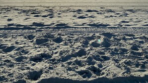 Una playa con huellas y el océano al fondo.