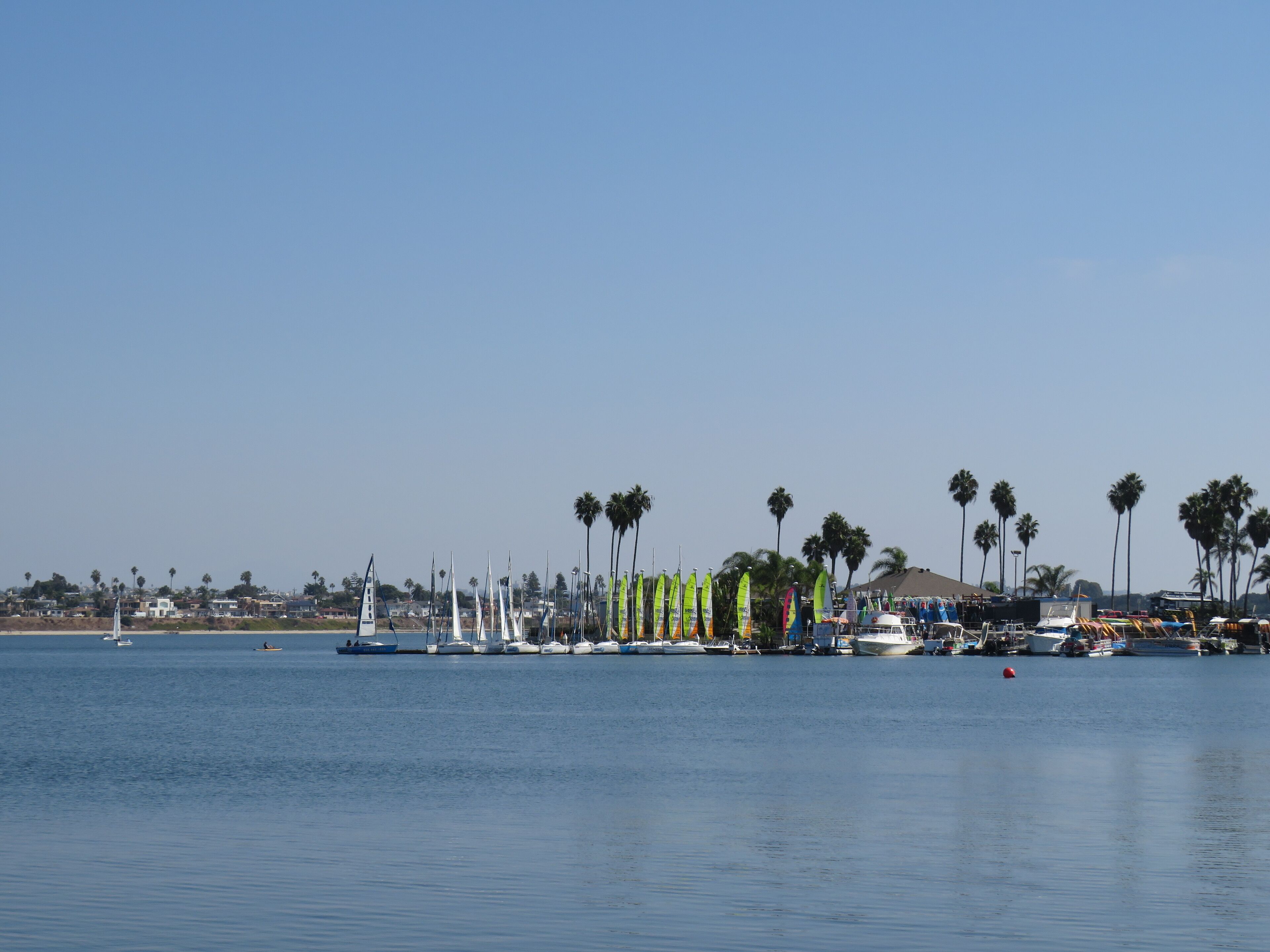 A marina with boats docked, palm trees, and a clear sky.