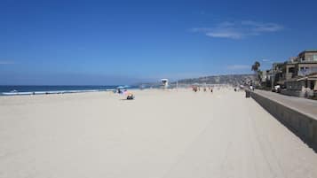 Playa en los alrededores y camastros