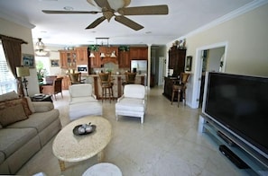 TV, fireplace, DVD player