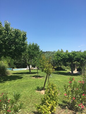 Terrain de l’hébergement 