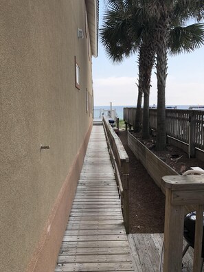 Walk along the beachfront path to a serene ocean view.