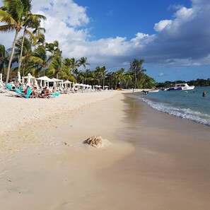 Sun-loungers, beach towels