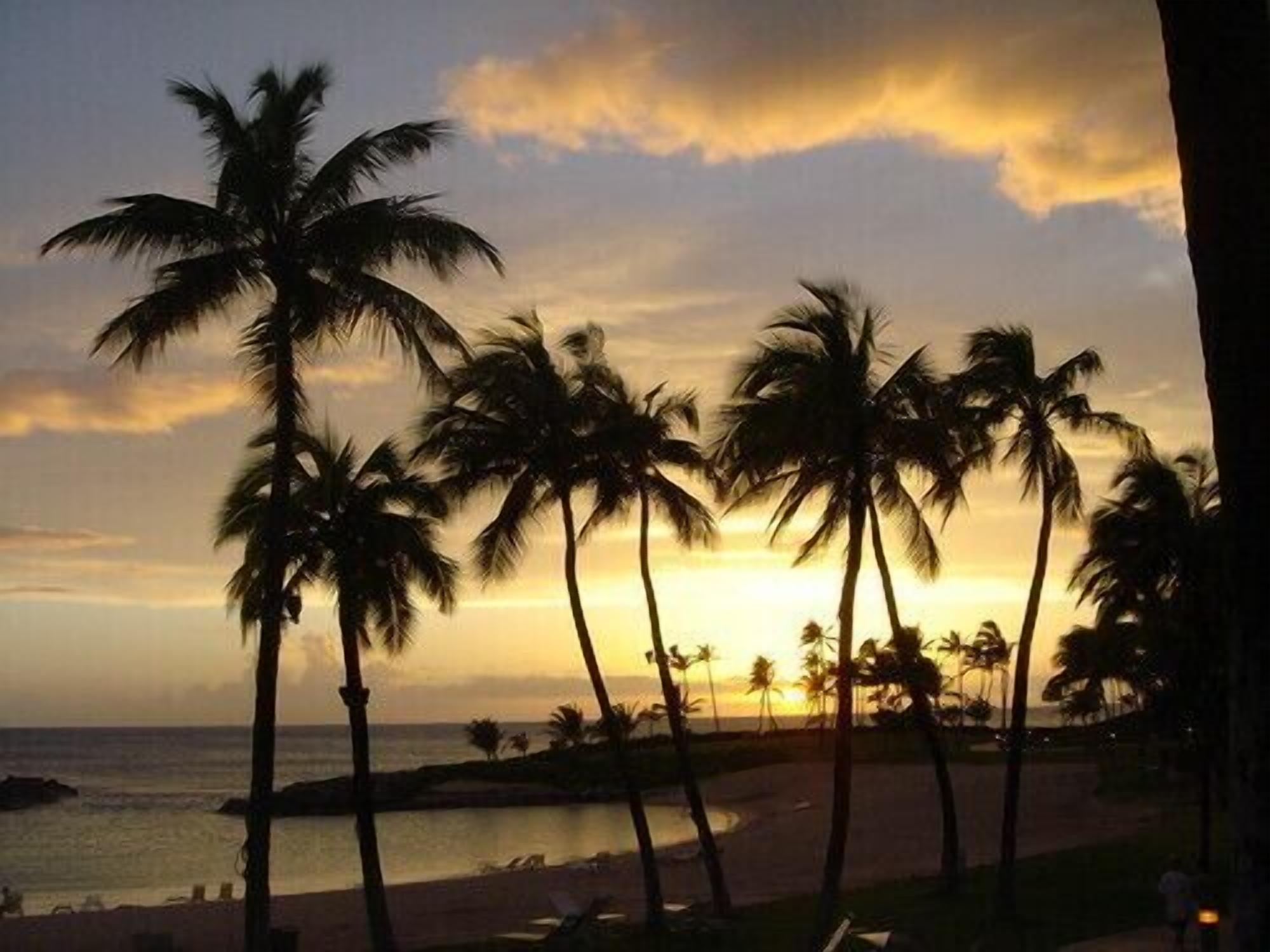 Sun loungers, beach towels