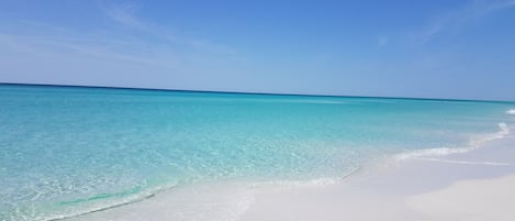在海滩