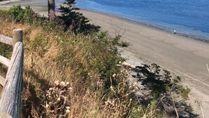 A coastal landscape with a clear sky, a sandy beach, and a large tree. - Top-Rated Waterfront Retreat Near Port Townsend (Nordland)