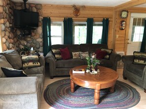 TV, fireplace, DVD player, video library