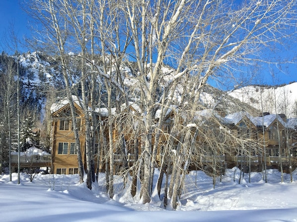 Exterior - Lovely townhome: Ski to Lift, Walk to Town, Private Hot tub, Sleeps 8! (Ketchum)