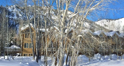 Lovely townhome: Ski to Lift, Walk to Town, Private Hot tub, Sleeps 8!