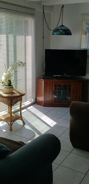 Smart TV, DVD player