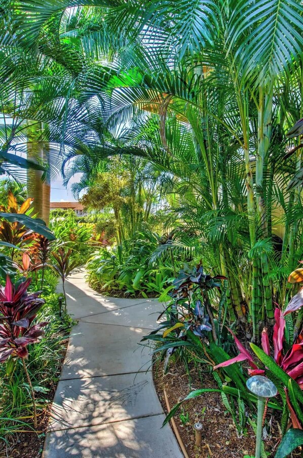 Un camino rodeado de exuberante vegetación tropical y una estructura con techo de cristal.