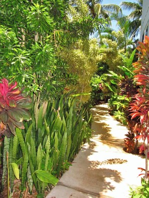 A pathway flanked by lush tropical plants and palm trees, leading to a building. - Aloha Villa: AC, Garden, Short Walk to Poipu Beach (Koloa)