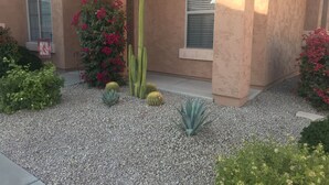 A garden with cacti, flowering plants, and a gravel pathway. - Beautiful Home w/ Pool; Clean, Quiet, Secure - near Mayo Clinic; Hiking/Golfing (Scottsdale)