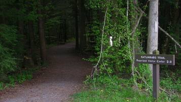 Terrain de l’hébergement