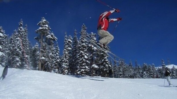 A person skiing on a snowy slope with trees in the background.