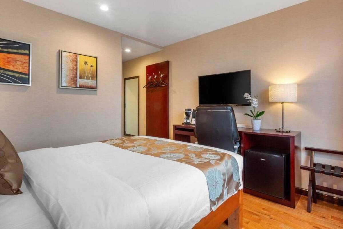 A hotel room with a bed, a desk with a computer, a TV, a small fridge, and a plant.