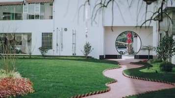 A pathway leading to a building with a circular driveway, surrounded by a well-maintained lawn and a few shrubs.