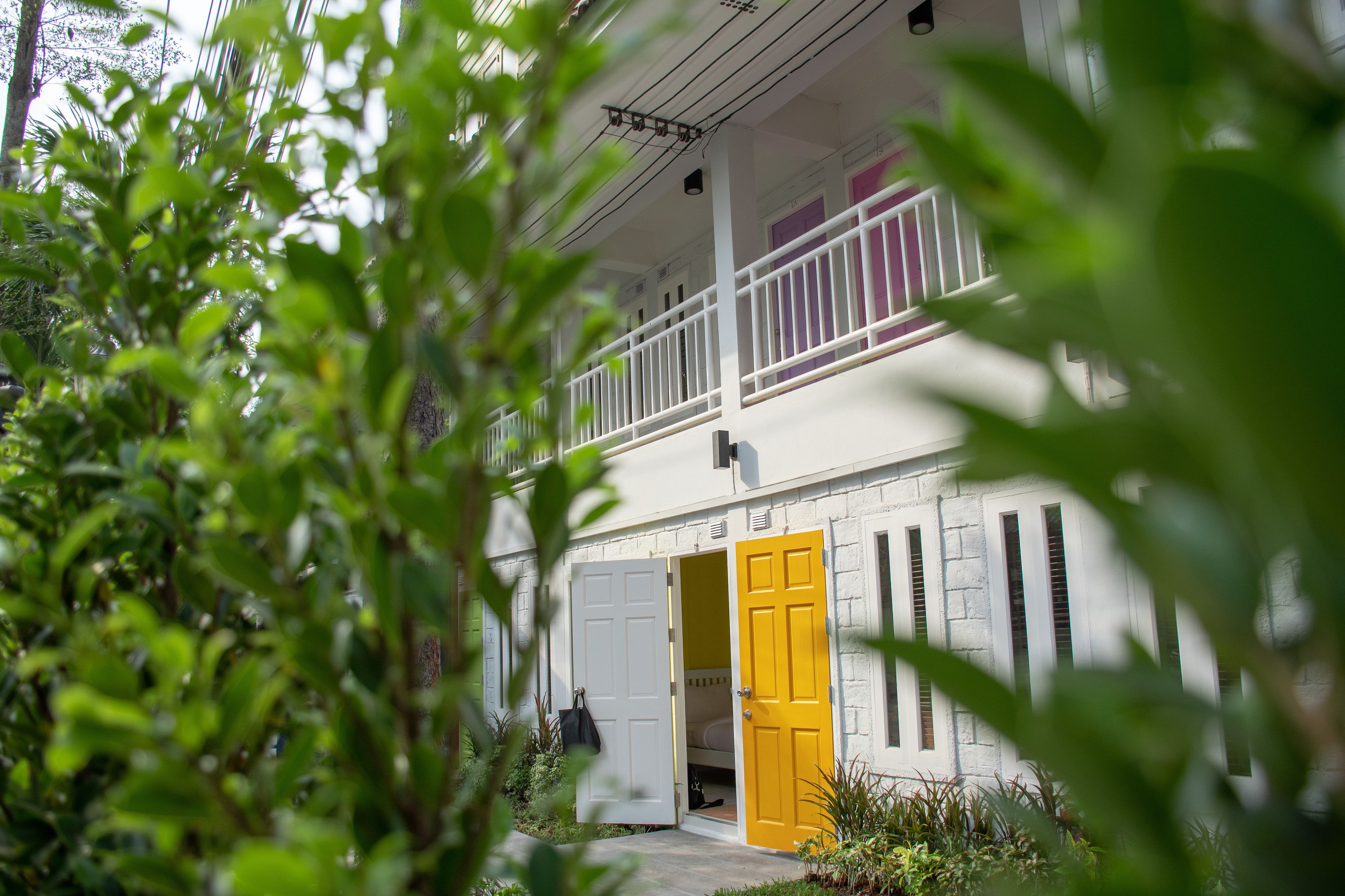 Photo - Lazy Sandals