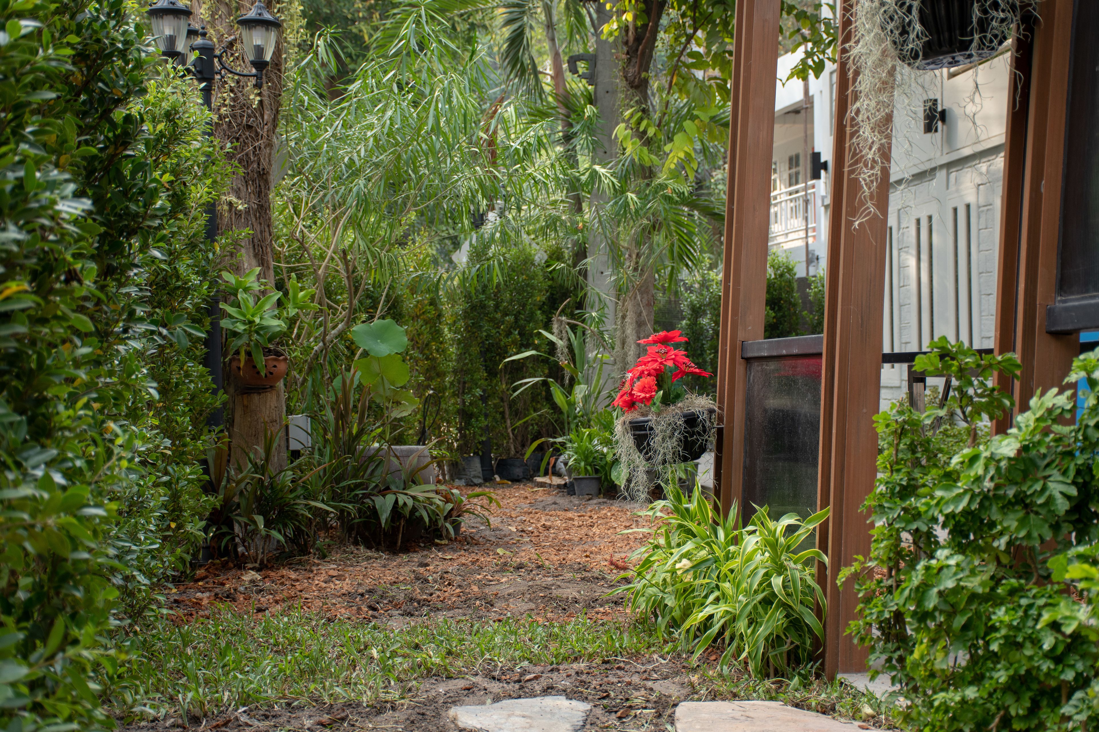 Photo - Lazy Sandals