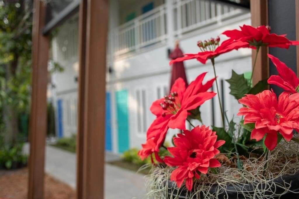 Photo - Lazy Sandals