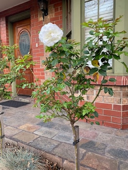 Adelaide Style Accommodation near City