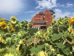 Children’s activities - Adelaide Style Accommodation near City (North Adelaide)