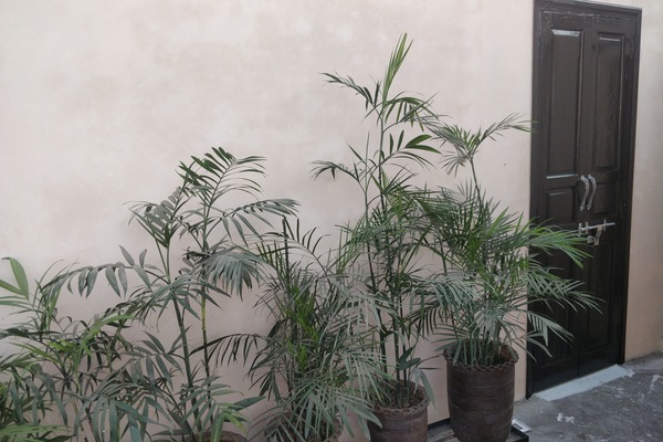 Interior detail