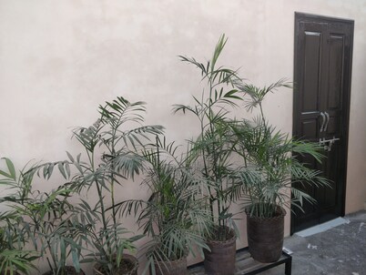 homestay near golden temple for group travellers