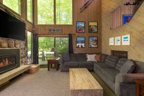 TV, fireplace, video games, DVD player