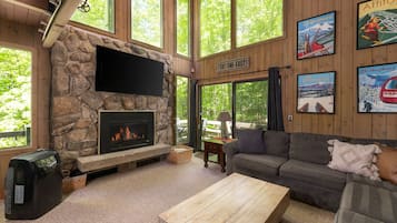 TV, fireplace, video games, DVD player